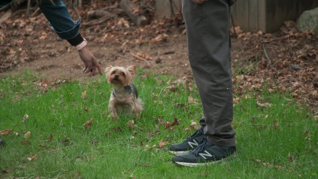 New Balance Shoes in The Rehearsal S02E03 “Pilot's Code” (2025) (Image 3)