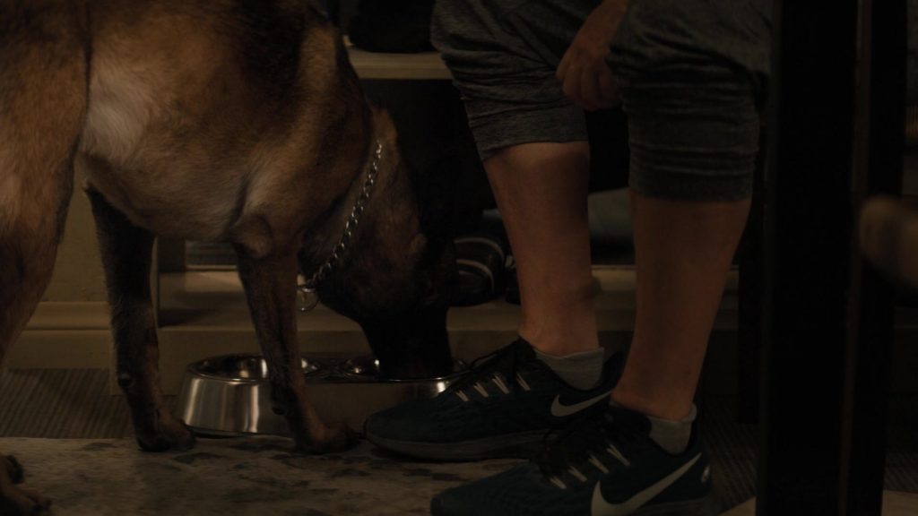 Nike Men's Sneakers of David Boreanaz as Master Chief Special Warfare Operator Jason Hayes in SEAL Team S04E08 “Cover for Action” (2021) (Image 1)