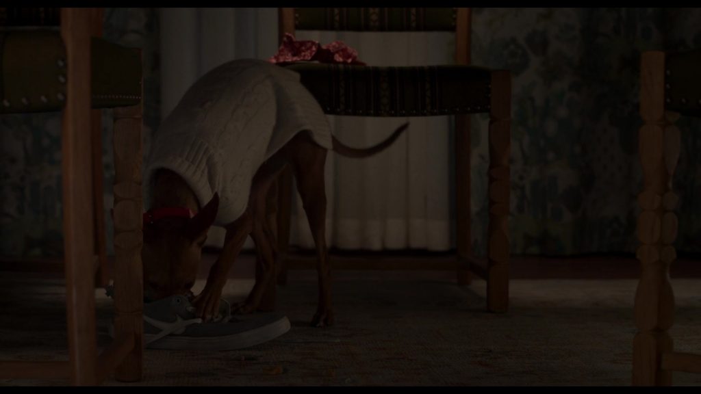 Nike SB Check Solar canvas skate shoes in The Four Seasons S02E06 “Little Thanksgiving” (2026) (Image 1)