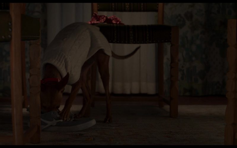Nike SB Check Solar canvas skate shoes in The Four Seasons S02E06 “Little Thanksgiving” (2026) (Image 1)