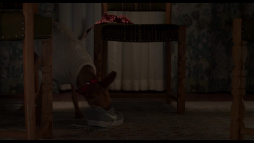 Nike SB Check Solar canvas skate shoes in The Four Seasons S02E06 “Little Thanksgiving” (2026) (Image 2)