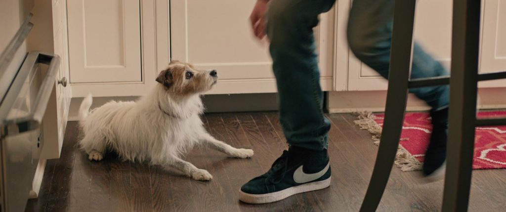 Nike Shoes Worn by Nick Robinson in Love, Simon (2018) (Image 2)