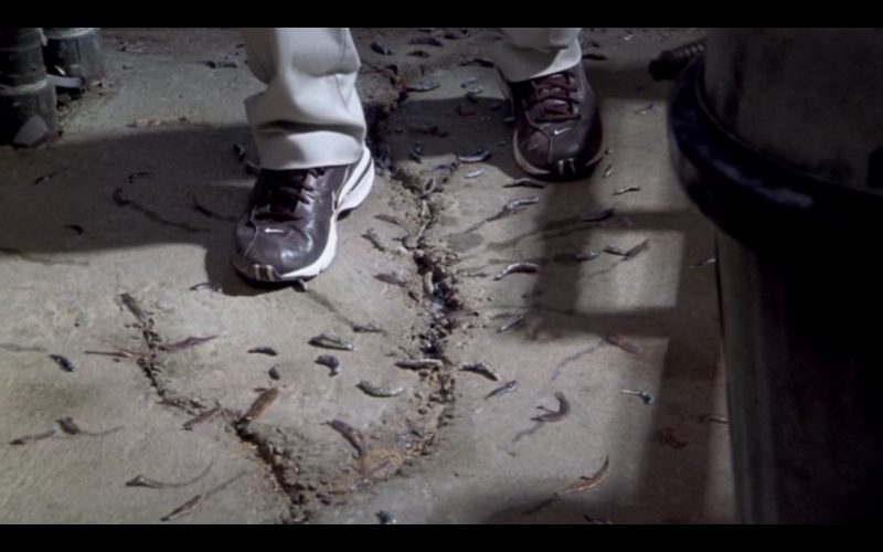 Nike Sneakers For Men – Evolution (2001) (Image 1)