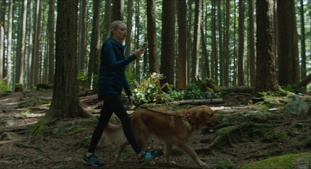 Nike Sneakers Worn by Amanda Seyfried as Avery ‘Eve' Swift in The Art of Racing in the Rain (2019) (Image 1)