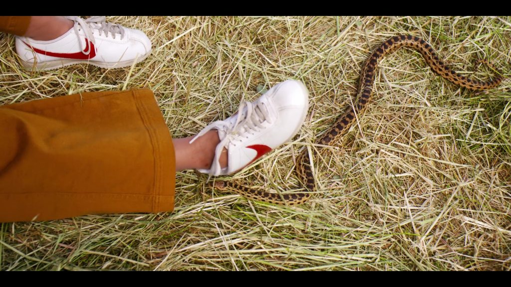 Nike Sneakers Worn by Maya Rudolph in Wine Country (2019) (Image 5)