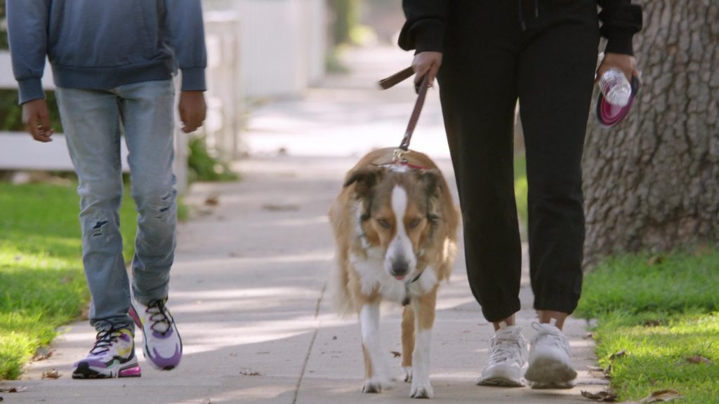Nike Sneakers Worn by Miles Brown as Jackson ‘Jack' Johnson in Black-ish Season 6 Episode 7 “Daughters for Dummies” (2019) (Image 1)