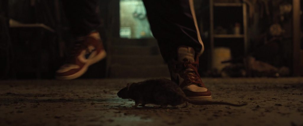 Nike Sneakers in Abigail (2024) (Image 1)