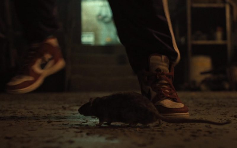 Nike Sneakers in Abigail (2024) (Image 1)