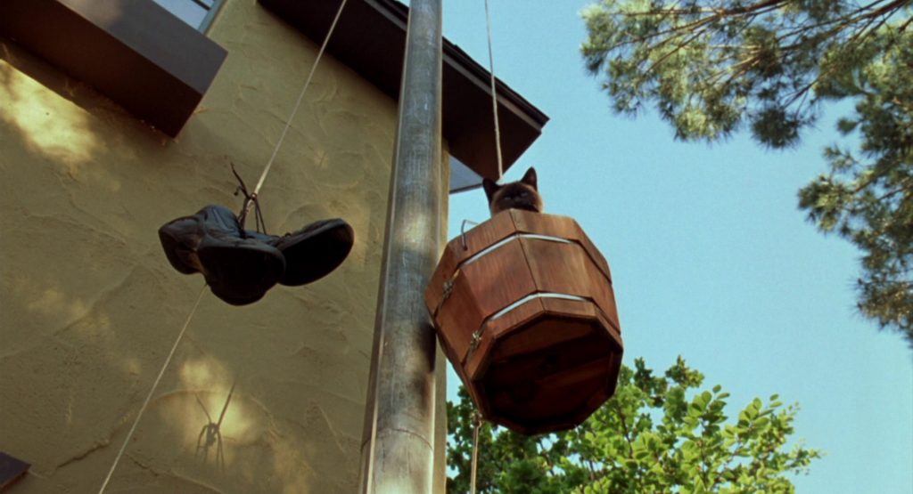 Nike Sneakers in Garfield (2004) (Image 1)