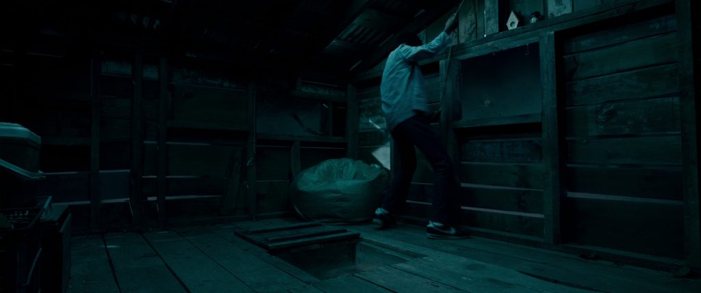 Nike Sneakers in Salem's Lot (2024) (Image 1)