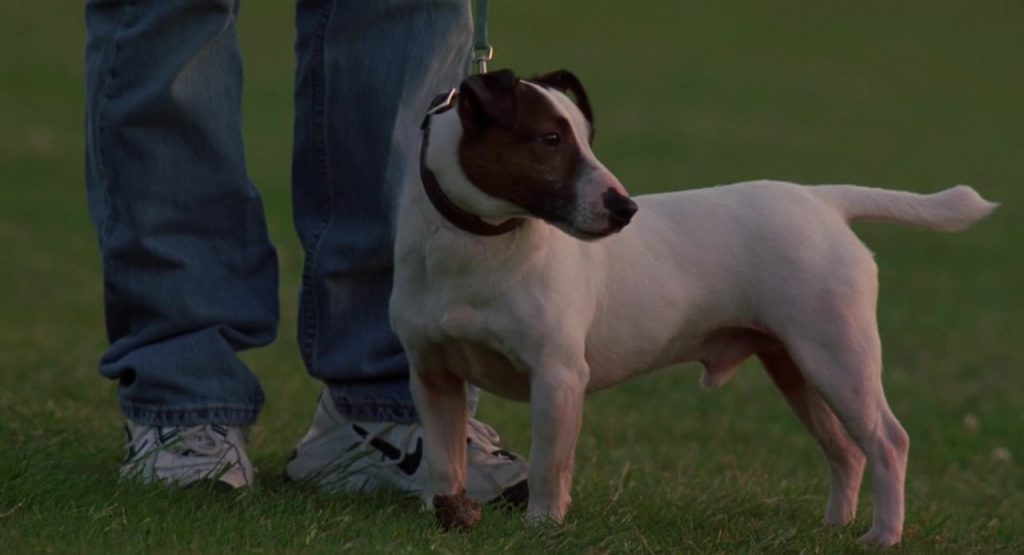 Nike White Shoes For Men in K-9 - P.I. (2002) (Image 1)