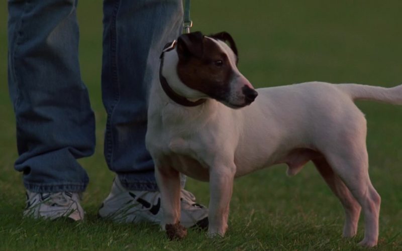 Nike White Shoes For Men in K-9 - P.I. (2002) (Image 1)