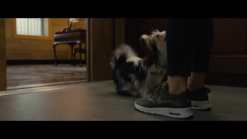 Nike Women's Sneakers Worn by Kathryn Prescott in A Dog’s Journey (2019) (Image 1)