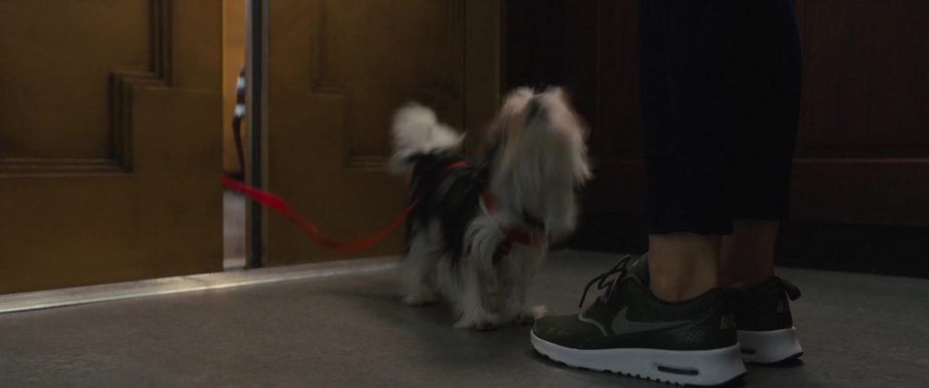 Nike Women's Sneakers Worn by Kathryn Prescott in A Dog’s Journey (2019) (Image 3)
