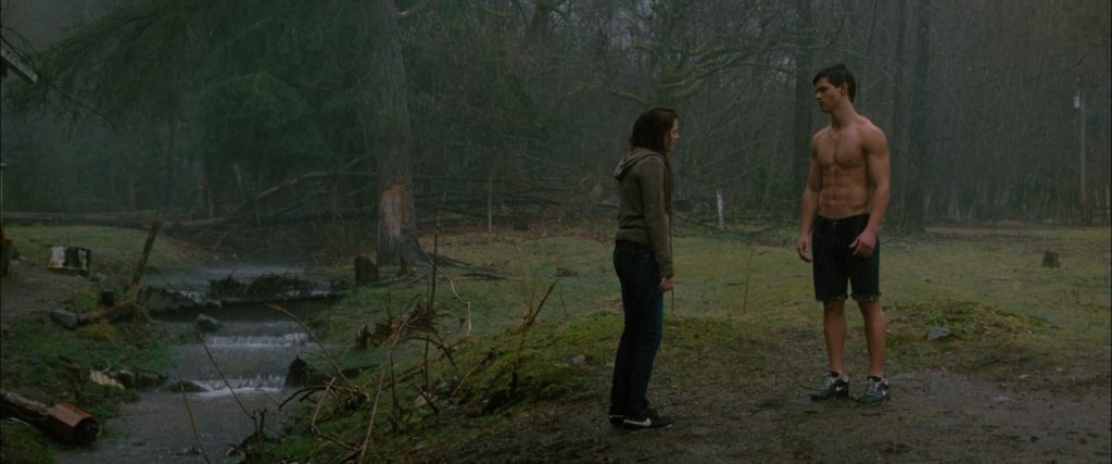 Nike Women's Sneakers Worn by Kristen Stewart as Bella Swan and Nike Shoes of Taylor Lautner as Jacob Black in The Twilight Saga - New Moon (2009) (Image 1)