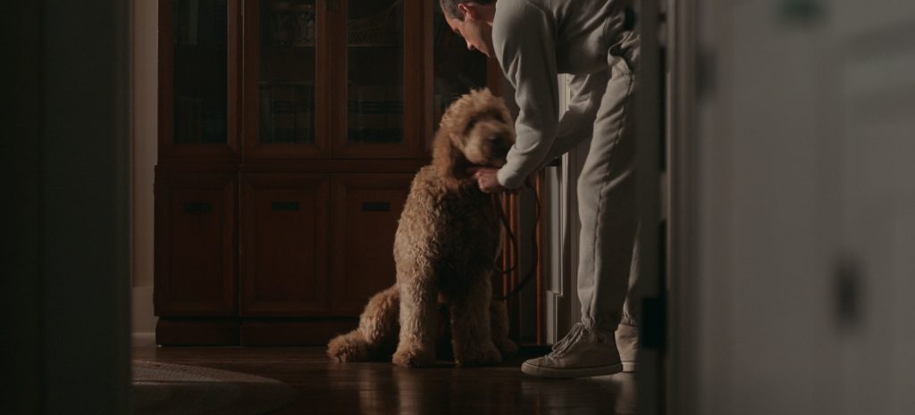PF Flyers Shoes Worn by Lewis Pullman as Calvin Evans in Lessons in Chemistry S01E07 “Book of Calvin” (2023) (Image 7)