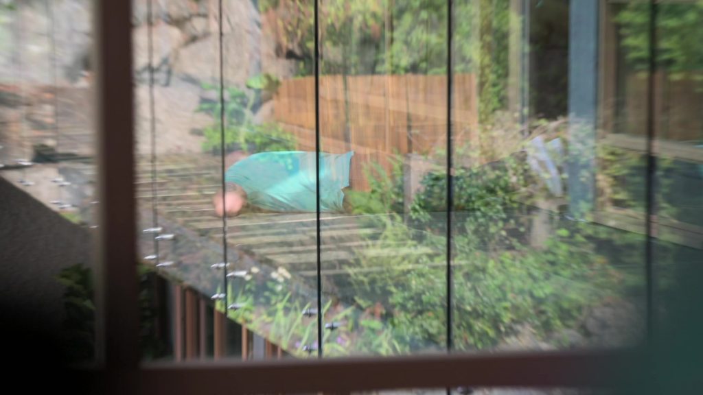 Puma Shoes in Fear Factor House Of Fear S01E04 “The Main Drag” (2026) (Image 15)