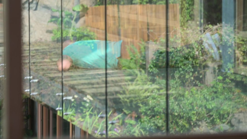 Puma Shoes in Fear Factor House Of Fear S01E04 “The Main Drag” (2026) (Image 17)
