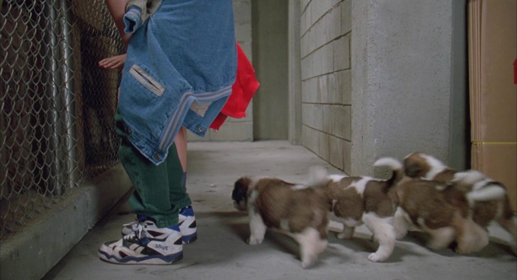 Reebok Sneakers Worn by Christopher Castile in Beethoven's 2nd (1993) (Image 1)