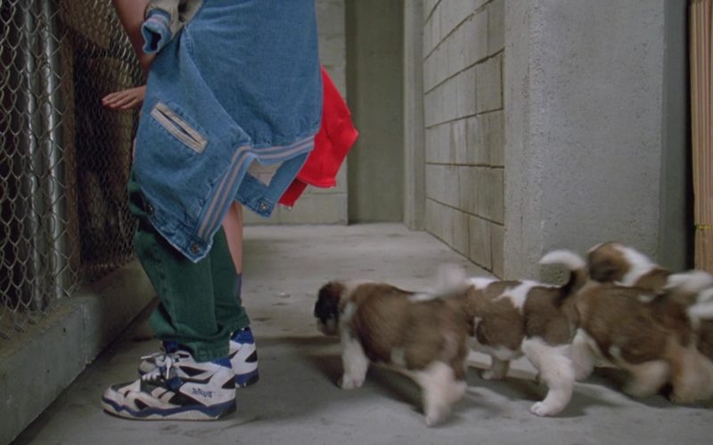 Reebok Sneakers Worn by Christopher Castile in Beethoven's 2nd (1993) (Image 1)