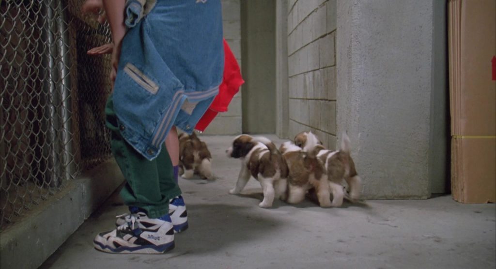 Reebok Sneakers Worn by Christopher Castile in Beethoven's 2nd (1993) (Image 2)