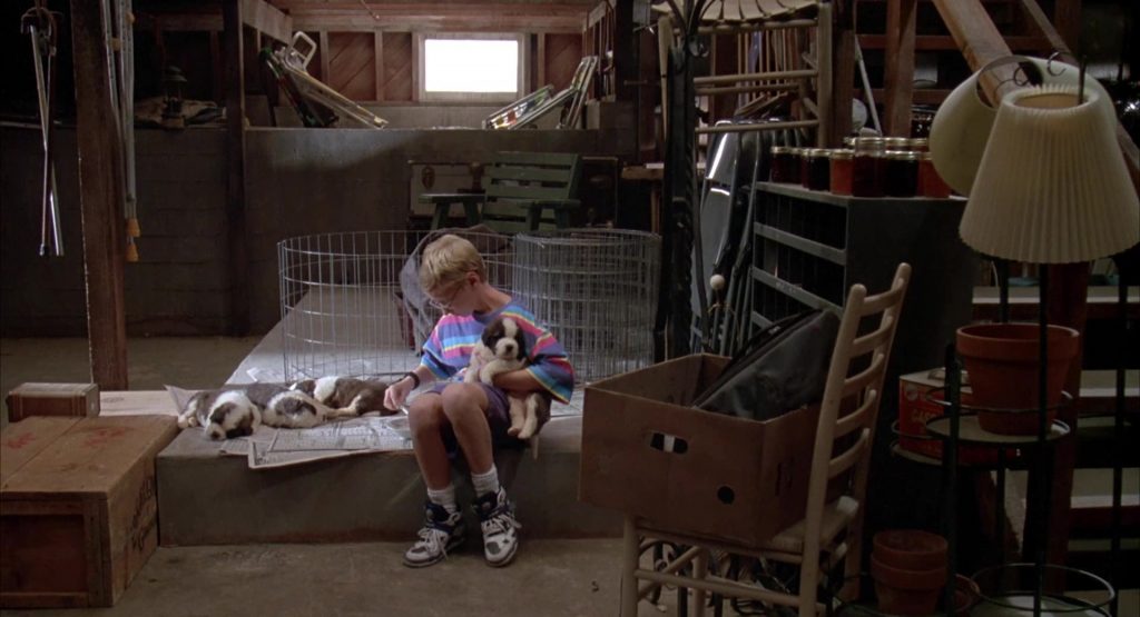 Reebok Sneakers Worn by Christopher Castile in Beethoven's 2nd (1993) (Image 5)