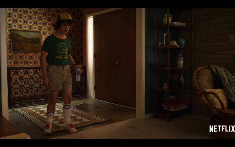 Reebok Sneakers Worn by Gaten Matarazzo (Dustin) in Stranger Things Season 3 (2019) (Image 1)