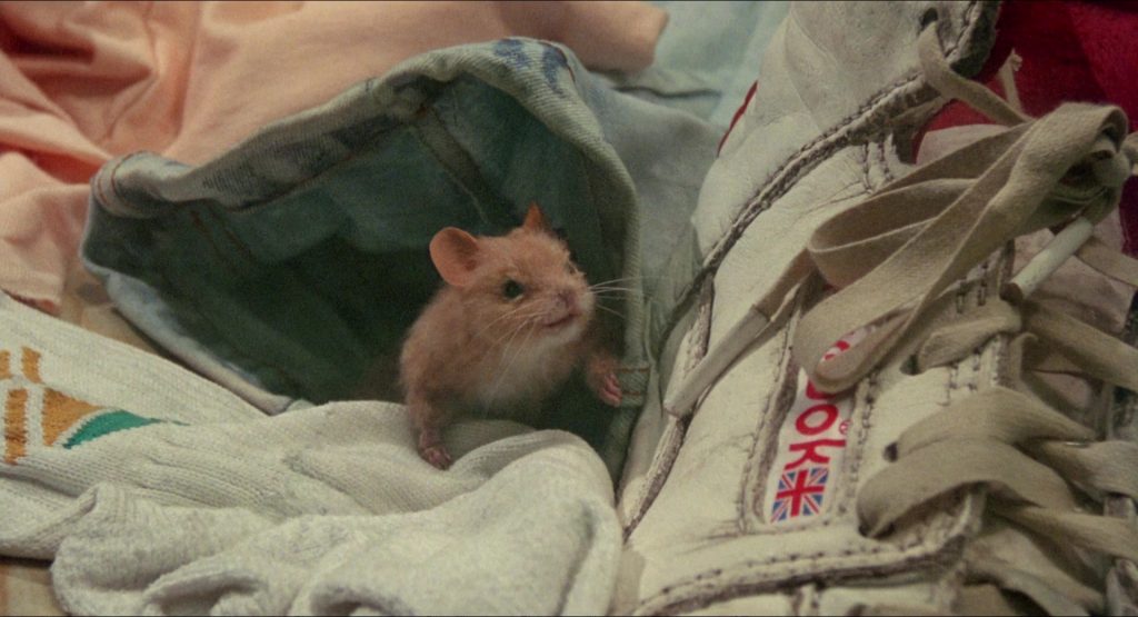 Reebok Sneakers of Jasen Fisher as Luke Eveshim in The Witches (1990) (Image 5)