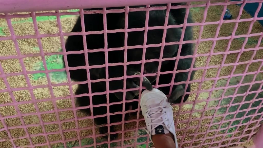 Sperry Shoes in Chimp Crazy S01E01 (2024) (Image 2)