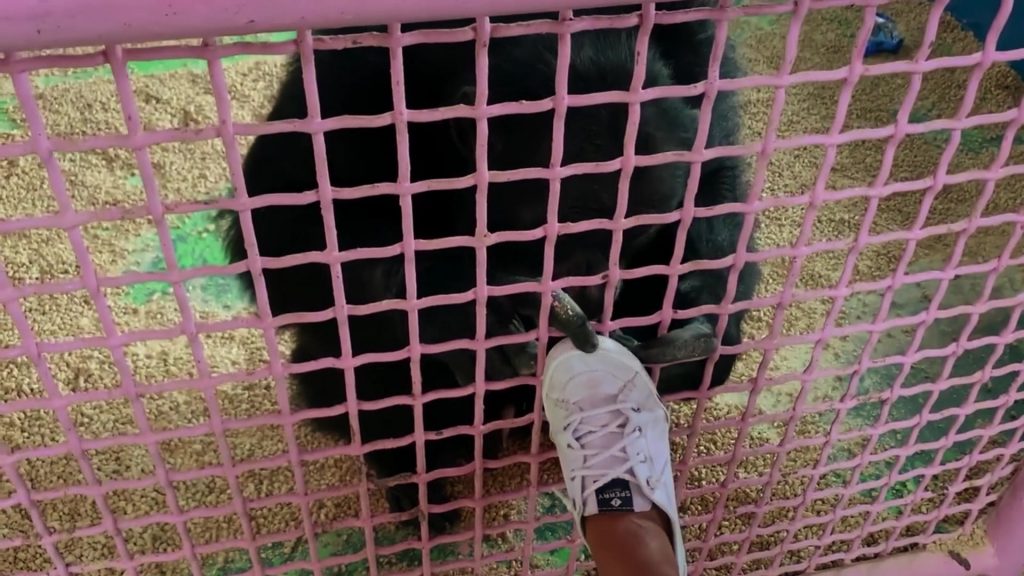 Sperry Shoes in Chimp Crazy S01E01 (2024) (Image 3)