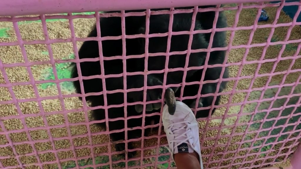 Sperry Shoes in Chimp Crazy S01E01 (2024) (Image 4)