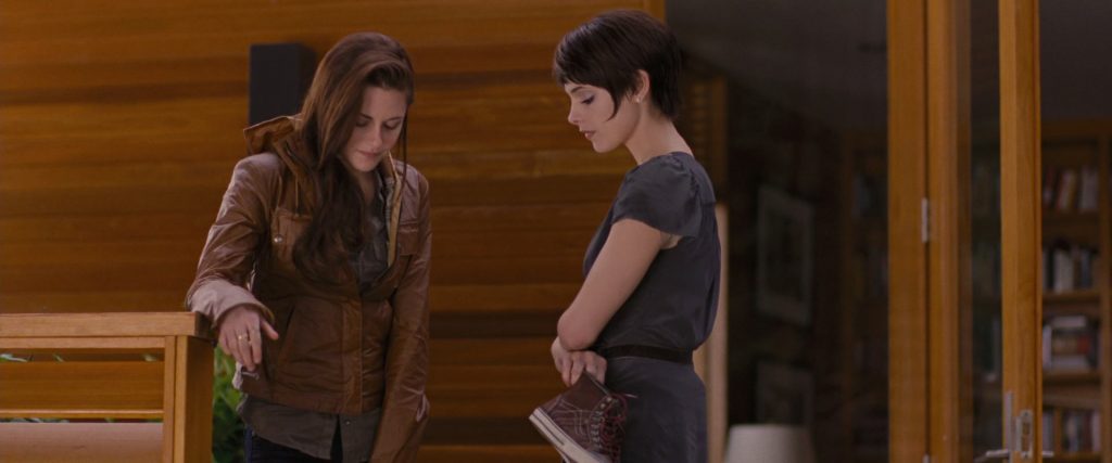 Vans HiTop Brown Leather Shoes in The Twilight Saga - Breaking Dawn – Part 1 (2011) (Image 1)