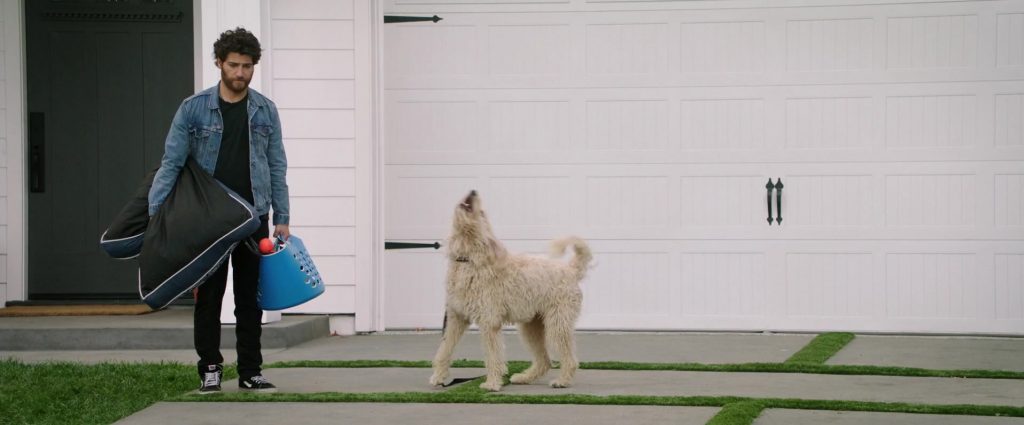 Vans Shoes Worn by Adam Pally in Dog Days (2018) (Image 5)