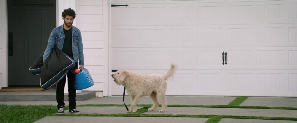 Vans Shoes Worn by Adam Pally in Dog Days (2018) (Image 6)