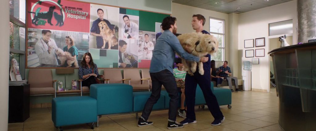 Vans Shoes Worn by Adam Pally in Dog Days (2018) (Image 9)