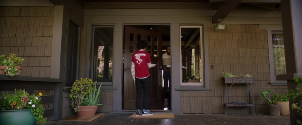 Vans Shoes Worn by Finn Wolfhard in Dog Days (2018) (Image 1)
