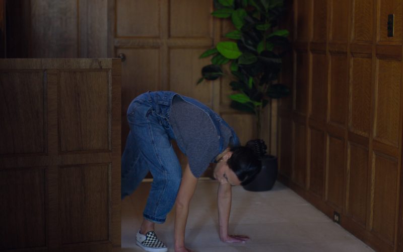 Vans Shoes in Cellar Door (2024) (Image 1)