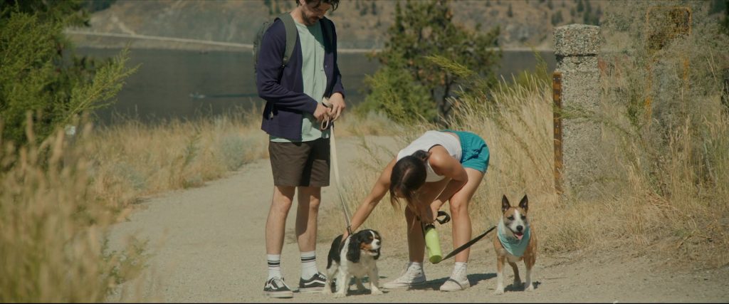 Vans Shoes of Grant Gustin as Max Stevenson in Puppy Love (2023) (Image 1)