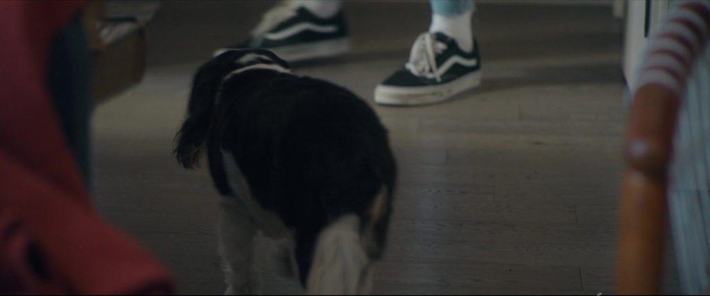 Vans Shoes of Grant Gustin as Max Stevenson in Puppy Love (2023) (Image 3)